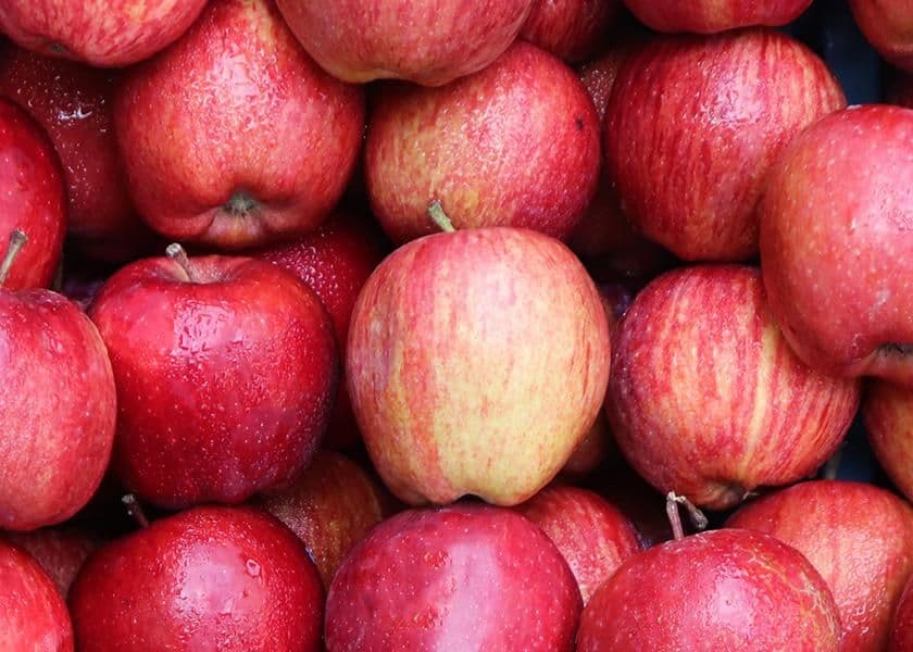 Michigan apple business updates